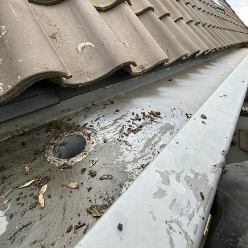 WhatsApp Image 2025-07-26 at 01.58.18_edf1dba9